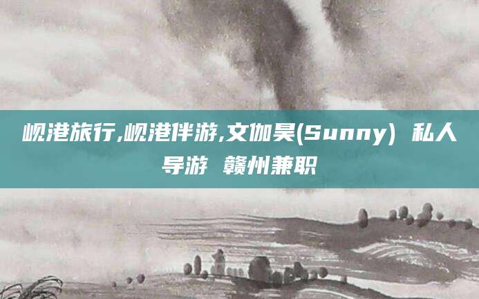 聊城岘港旅行,岘港伴游,文伽昊(Sunny) 私人导游 赣州兼职