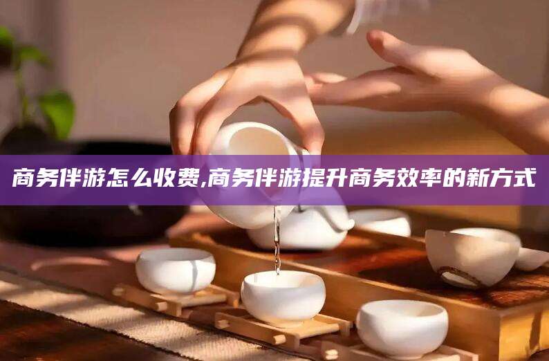 聊城商务伴游怎么收费,商务伴游提升商务效率的新方式